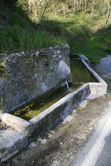 Fontanili del Lazio